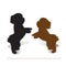 Circus dog. Two puppies poodle on two legs, silhouette on white