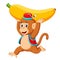 The circus monkey playing and holding up the big yellow banana