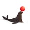 Circus seal balancing red ball, isolated