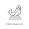 circus walrus linear icon. Modern outline circus walrus logo con