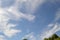 Cirrocumulus cloud swirling above trees horizontal