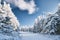 Cirrus cloud in deep blue sky over forest path. Cross-country ski trail on a snowy path in the forest.