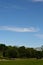 Cirrus cloud flat wispy above trees text area top masthead vertical