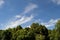 Cirrus cloud large wispy above trees horizontal