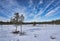 Cirrus clouds in Alaska