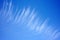 Cirrus clouds in the blue sky