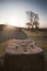 Cissbury Ring Trig Point