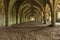 Cistercian Vaulted cellarium