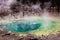 Cistern Spring Norris Geyser Basin