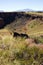 The Citadel Pueblo, ancient Native American site