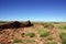 The Citadel Pueblo, ancient Native American site