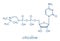 Citicoline CDP-choline molecule. Skeletal formula.