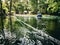 Citizen scientists from the Florida Springs Institute measure the spring-fed Itchetucknee River, Columbia County