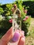 CITRINE OBELISK SHAPED STONE ROCK NATURE YELLOW CLUSTER ORACLE DECK