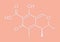 Citrinin mycotoxin molecule. Skeletal formula.