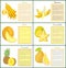 Citron Banana Melon and Kumquat Posters Vector