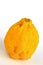 Citron Citrus medica