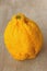 Citron (Citrus medica)