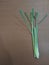 Citronella leaf on brown table