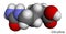 Citrulline C6H13N3O3, alpha amino acid molecule. Molecular model