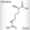 Citrulline C6H13N3O3, alpha amino acid molecule. Skeletal chemical formula