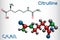 Citrulline C6H13N3O3, alpha amino acid molecule. Structural chemical formula and molecule model