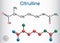 Citrulline C6H13N3O3, alpha amino acid molecule. Structural chemical formula and molecule model. Sheet of paper in a cage