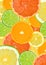 Citrus background
