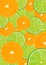 Citrus background