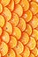 Citrus background. Lemon, orange lime, grapefruit mandarin. Harvest concept. Top view. Tangerine segments, orange background