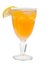 Citrus cocktail closeup