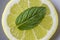 citrus disk and mint leaf