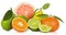 Citrus fruit