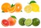 Citrus Fruit Set orange, grapefruit, lime, lemon isolated