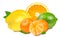 Citrus Fruit Set (tangerine, orange, lime, lemon) on wh