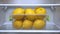 Citrus fruits background. Organic food. Fresh yellow lemons. Vitamin C. Copy space. Lemons keep freshness in the fridge