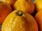Citrus fruits. Several whole tangerines on a wooden table. Tropical fruits. Close up