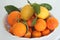 Citrus fruits of Sicily - Italy