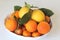 Citrus fruits of Sicily - Italy