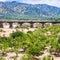 Citrus garden in Alcantara river valley in Sicily