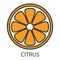 The citrus icon with the inscription. Yellow citrus cut in half with a gray outline. A product that causes an allergic reaction.