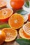 Citrus - Lemon, lime, mandarin and fresh slices