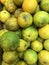 Citrus orange fruits infected with citrus greening huanglongbing HLB