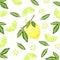 Citrus pattern with a fresh lemon in the center and lemon wedges and flowers for fabric, label drawing, printing on T-shirts