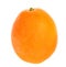 Citrus Round Orange