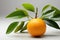 Citrus Serenity: Orange with Leaves in Front of Window on a Clean White Background - Generative AI