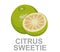 Citrus Sweetie icon entirely