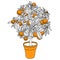 Citrus tangerine, orange or lemon citrus tree in a pot