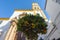 Citrus tree with oranges and church on a background. Marbella, Spain