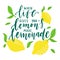 Citrus typography background with quote - when life gives you lemons make lemonade